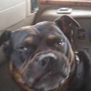 Meet your Posher, Gary